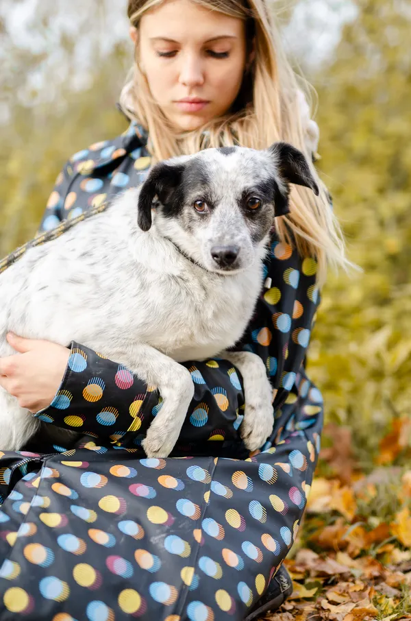 Oddam psa, Olsztyn, Wojska Polskiego, 19 października 2025 (2/6)