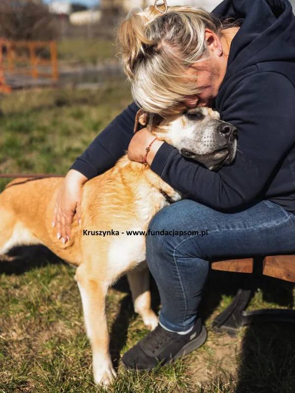 Oddam psa, Warszawa, Chomiczówka, 21 października 2025 (3/6)