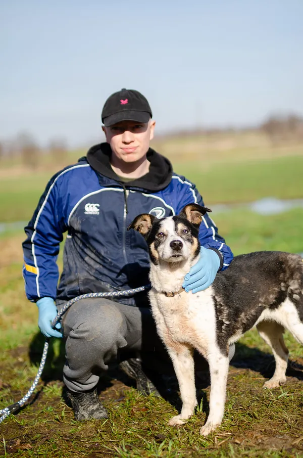 Oddam psa, Elbląg, Modrzewina, 21 października 2025 (2/6)
