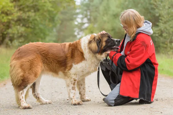 Pies do adopcji, Nowodwór, 20 października 2025 (4/5)