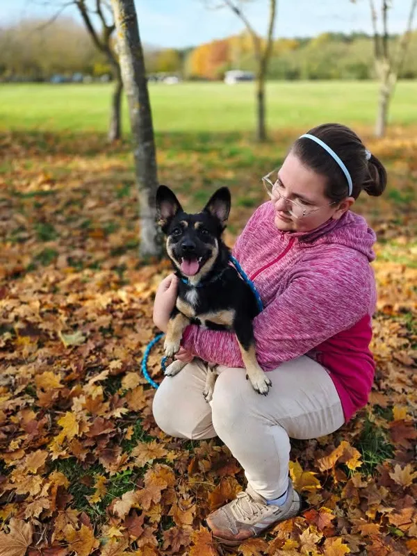 Pies do adopcji, Radom, 23 października 2025 (4/5)