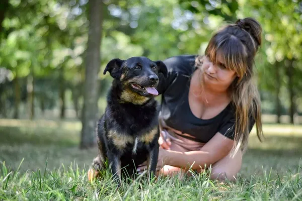 Pies do adopcji, Radom, 24 października 2025 (4/5)