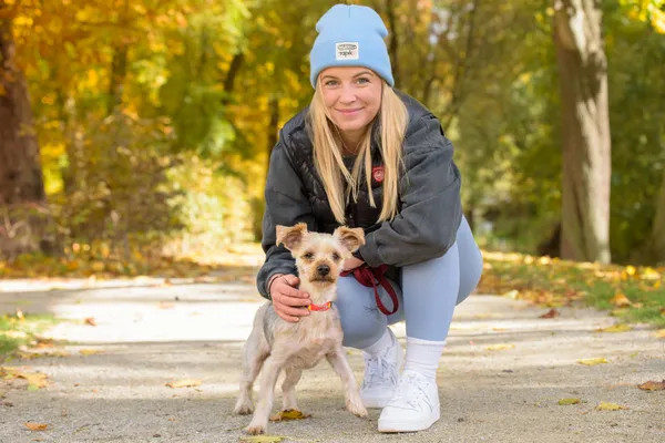 Pies do adopcji, Nowodwór, 26 października 2025 (2/5)