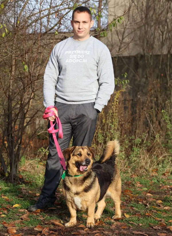 Znaleziono psa, Łódź, 27 października 2025 (4/5)