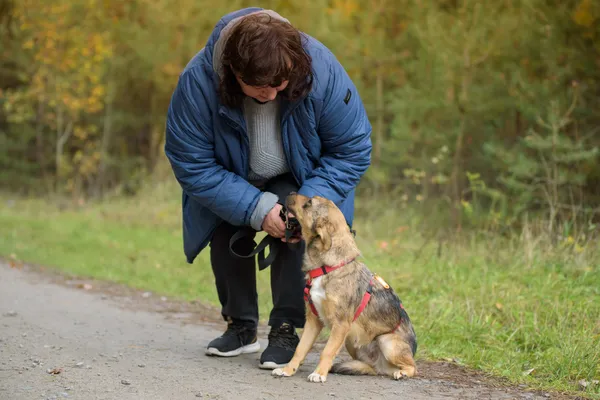 Pies do adopcji, Nowodwór, 3 listopada 2025 (5/5)