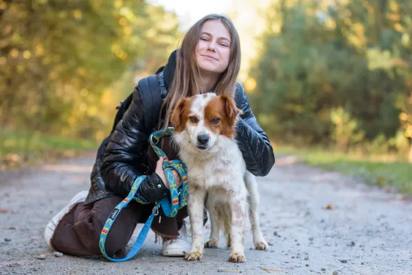 Pies do adopcji, Nowodwór, 3 listopada 2025 (2/5)