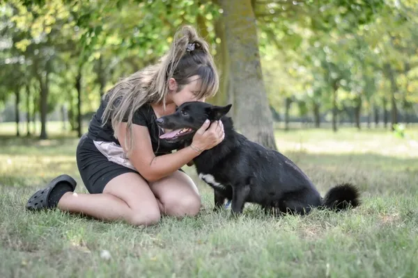 Pies do adopcji, Radom, 4 listopada 2025 (4/5)