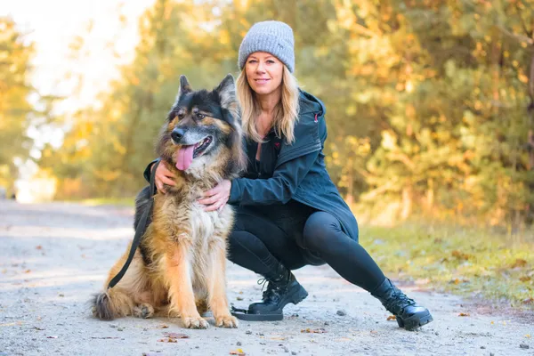 Pies do adopcji, Nowodwór, 5 listopada 2025 (5/5)