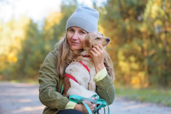 Pies do adopcji, Nowodwór, 5 listopada 2025 (4/5)