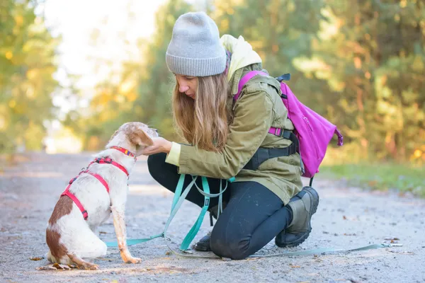 Pies do adopcji, Nowodwór, 5 listopada 2025 (5/5)