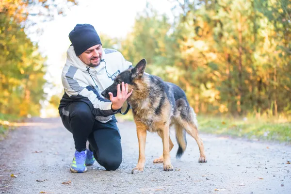 Pies do adopcji, Nowodwór, 5 listopada 2025 (5/5)