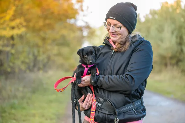 Pies do adopcji, Nowodwór, 13 listopada 2025 (1/5)