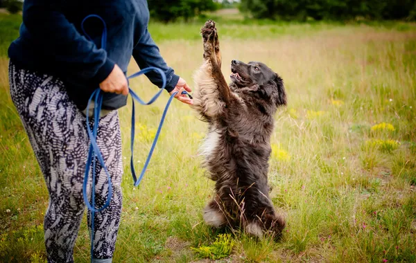 Oddam psa, Warszawa, Grochów, 16 listopada 2025 (3/5)