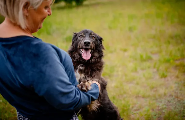 Oddam psa, Warszawa, Grochów, 16 listopada 2025 (5/5)