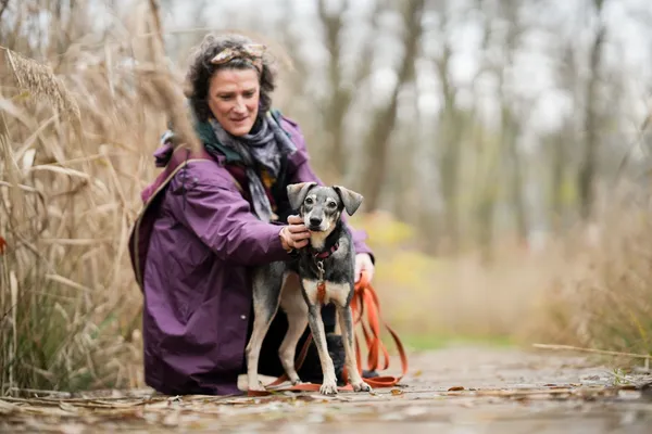 Pies do adopcji, Sosnowiec, 27 października 2025 (4/5)