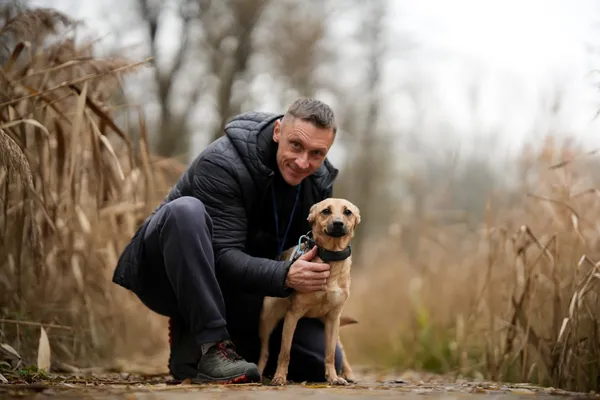 Pies do adopcji, Sosnowiec, 29 października 2025 (4/5)