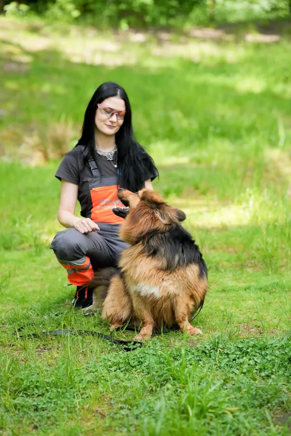 Pies do adopcji, Sosnowiec, 21 października 2025 (5/5)
