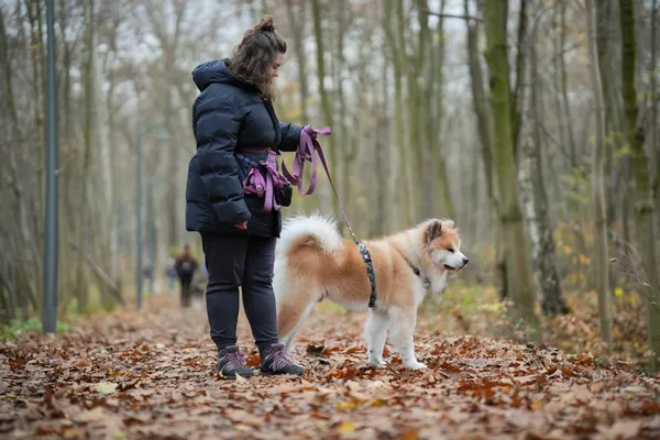 Pies do adopcji, Sosnowiec, 8 października 2025 (2/5)