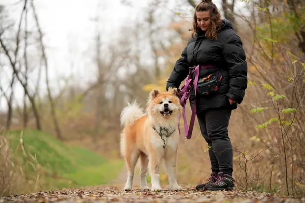 Pies do adopcji, Sosnowiec, 8 października 2025 (5/5)