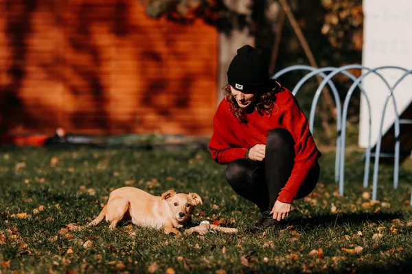 Pies do adopcji, Czartki, 18 listopada 2025 (2/5)