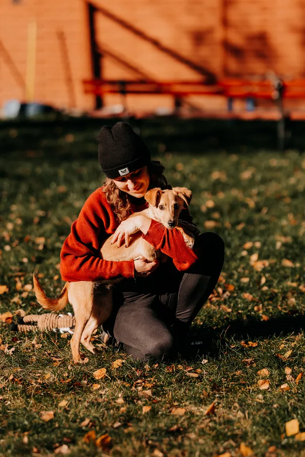 Pies do adopcji, Czartki, 18 listopada 2025 (5/5)