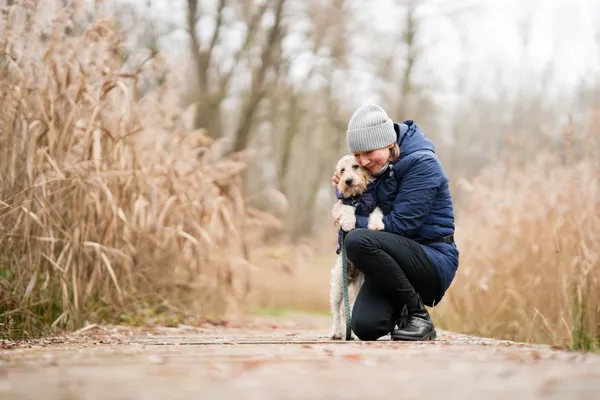 Znaleziono psa, Sosnowiec, 5 listopada 2025 (1/5)