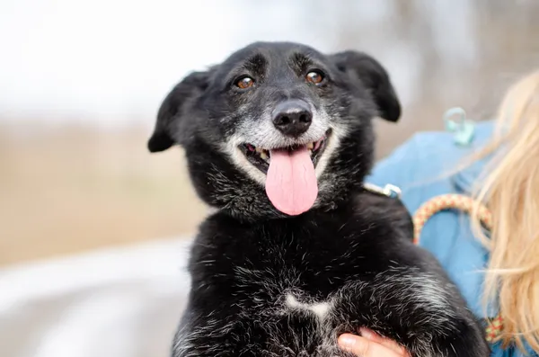 Oddam psa, Olsztyn, Osiedle Tadeusza Kościuszki, 22 listopada 2025 (5/6)