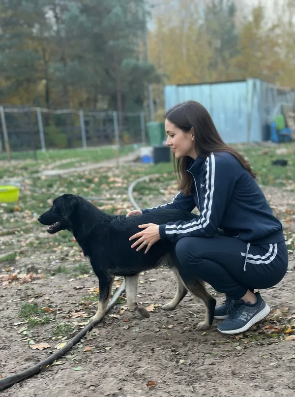 Oddam psa, Warszawa, Stare Bielany, 23 listopada 2025 (2/4)