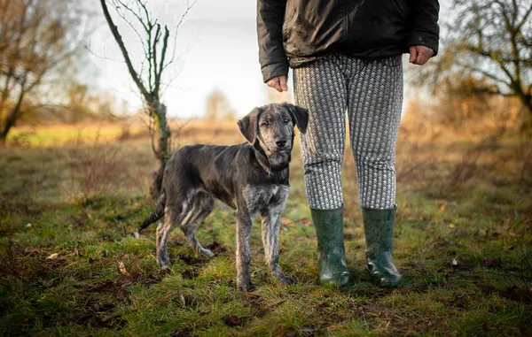 Oddam psa, Blizne Łaszczyńskiego, Chrzanów, 24 listopada 2025 (2/5)