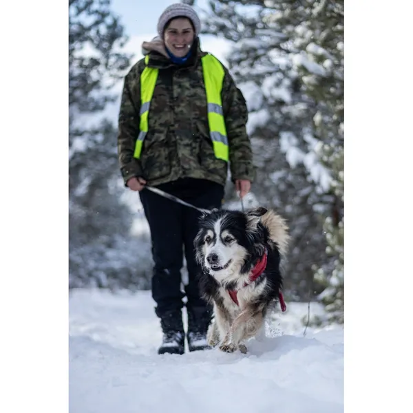 Znaleziono psa, Białystok, 28 października 2025 (2/4)