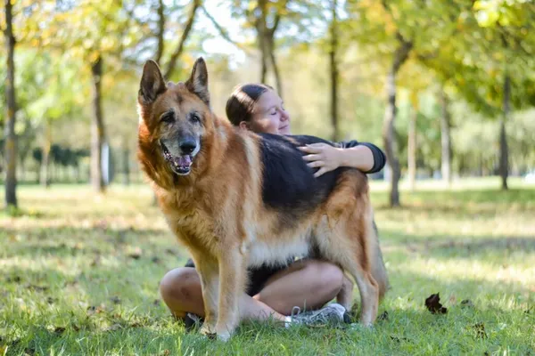 Pies do adopcji, Radom, 27 listopada 2025 (4/5)