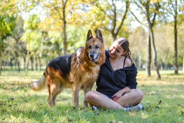 Pies do adopcji, Radom, 27 listopada 2025 (5/5)