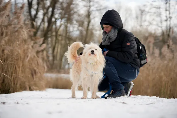 Znaleziono psa, Sosnowiec, 24 listopada 2025 (3/5)