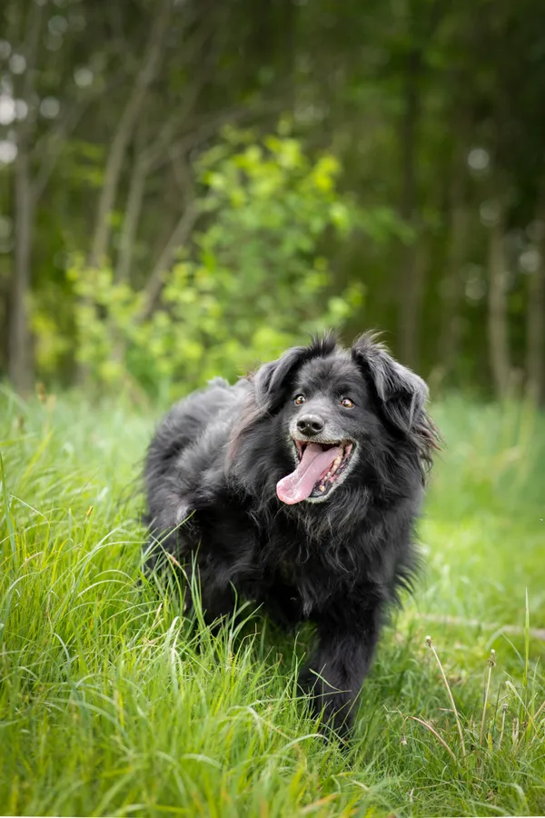 Oddam psa, Warszawa, Koło, 30 listopada 2025 (3/4)