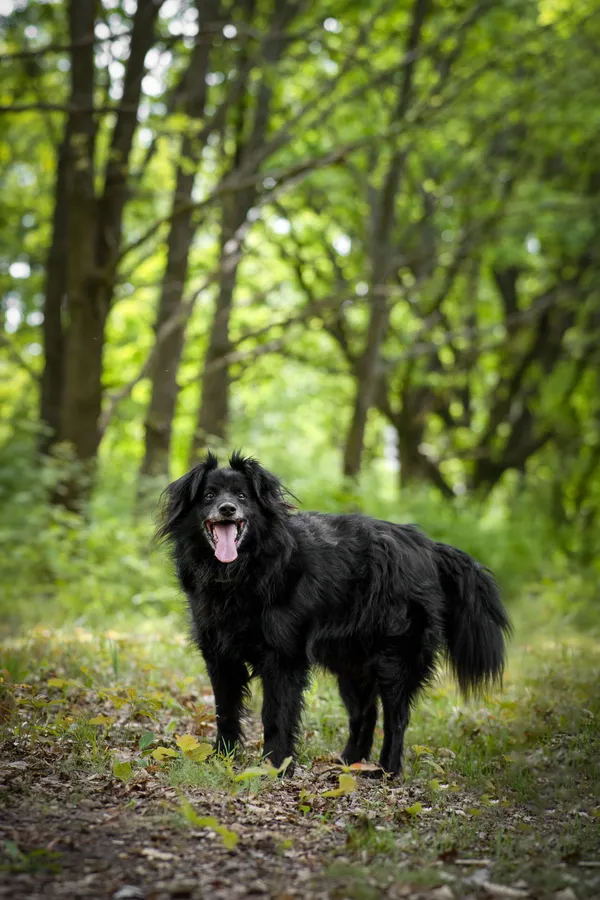 Oddam psa, Warszawa, Koło, 30 listopada 2025 (4/4)