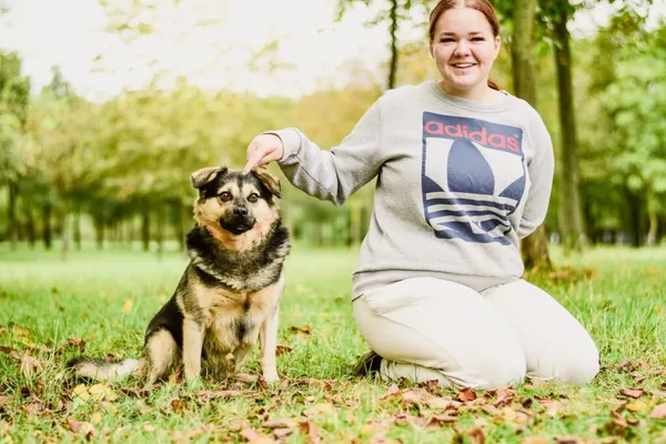 Pies do adopcji, Radom, 30 listopada 2025 (2/5)