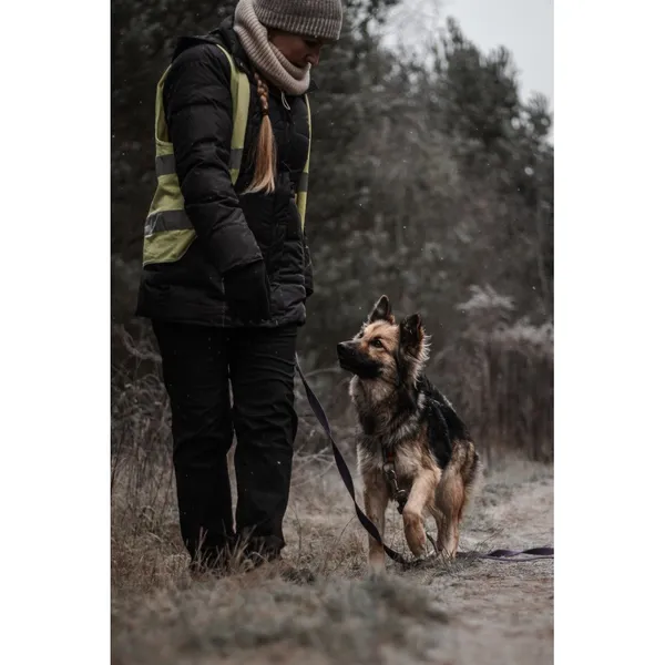 Znaleziono psa, Białystok, 30 września 2025 (2/5)