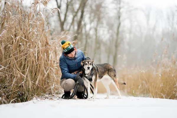 Znaleziono psa, Sosnowiec, 28 listopada 2025 (2/5)