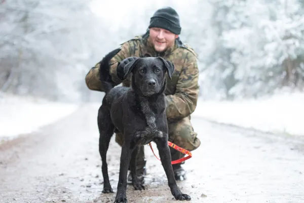 Pies do adopcji, Nowodwór, 5 grudnia 2025 (1/5)