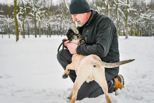 Pies do adopcji, Radom, 6 grudnia 2025 (4/5)
