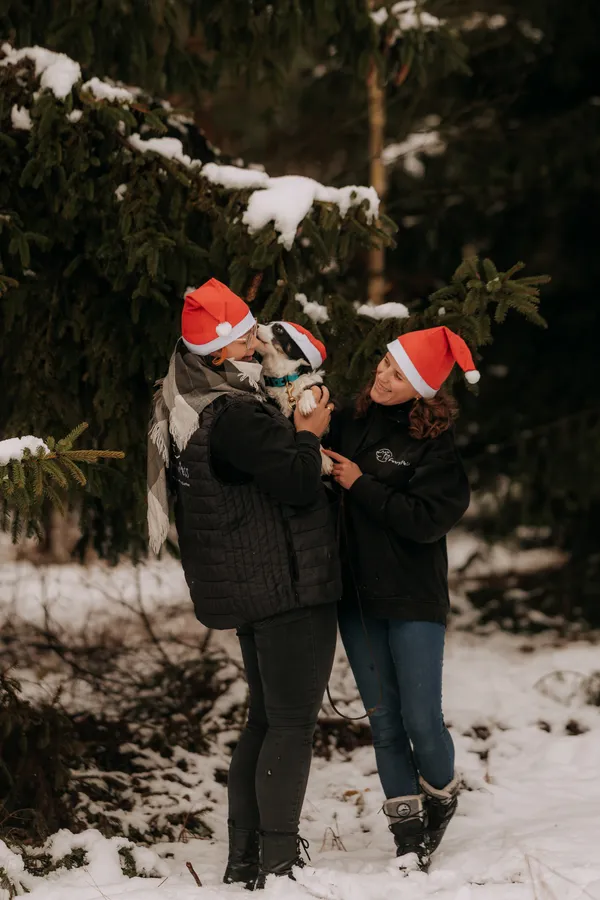 Pies do adopcji, Czartki, 9 grudnia 2025 (2/5)