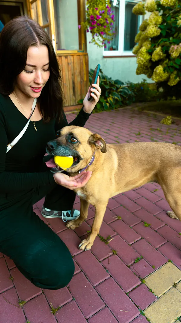 Oddam psa, Warszawa, Młynów, 10 grudnia 2025 (5/5)