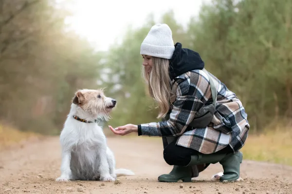Pies do adopcji, Nowodwór, 18 grudnia 2025 (3/5)
