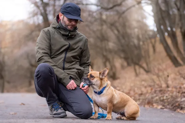 Pies do adopcji, Nowodwór, 18 grudnia 2025 (4/5)