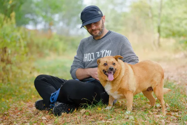 Pies do adopcji, Nowodwór, 28 grudnia 2025 (2/5)