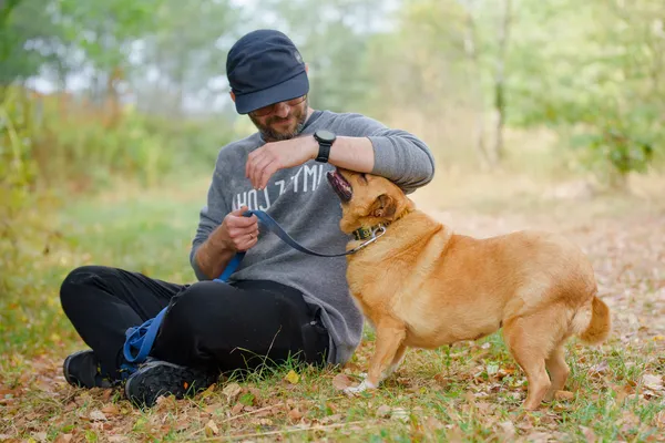 Pies do adopcji, Nowodwór, 28 grudnia 2025 (4/5)