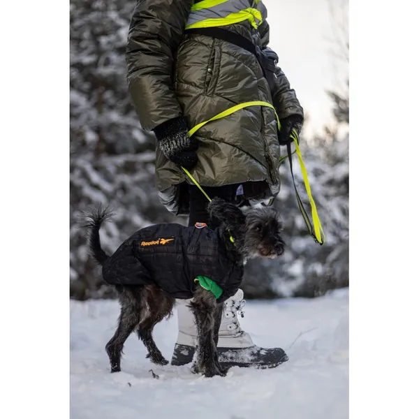 Znaleziono psa, Białystok, 19 listopada 2025 (3/5)