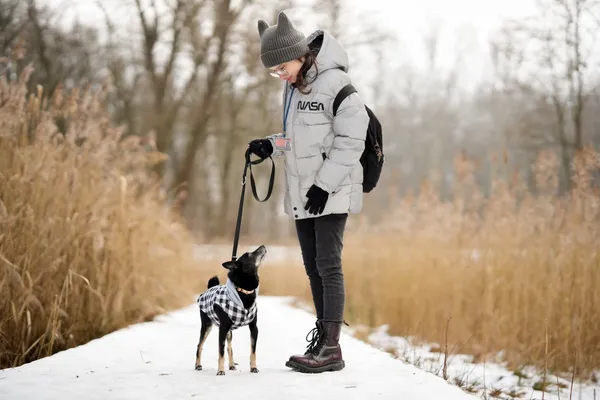 Znaleziono psa, Sosnowiec, 27 grudnia 2025 (1/5)