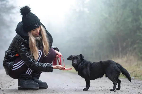 Pies do adopcji, Nowodwór, 5 stycznia 2026 (3/5)