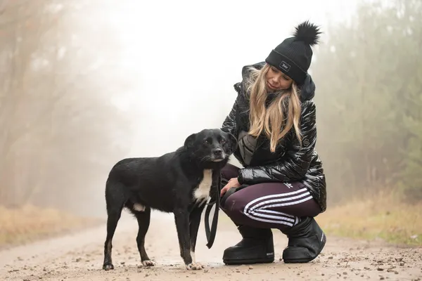 Pies do adopcji, Nowodwór, 6 stycznia 2026 (3/5)